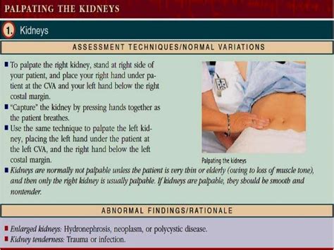 scratch test in abdominal assessment|abdominal splash test results.